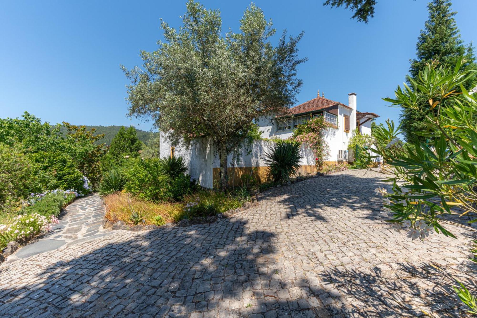 Atlantic Nest Poiares Villa Vila Nova de Poiares Luaran gambar