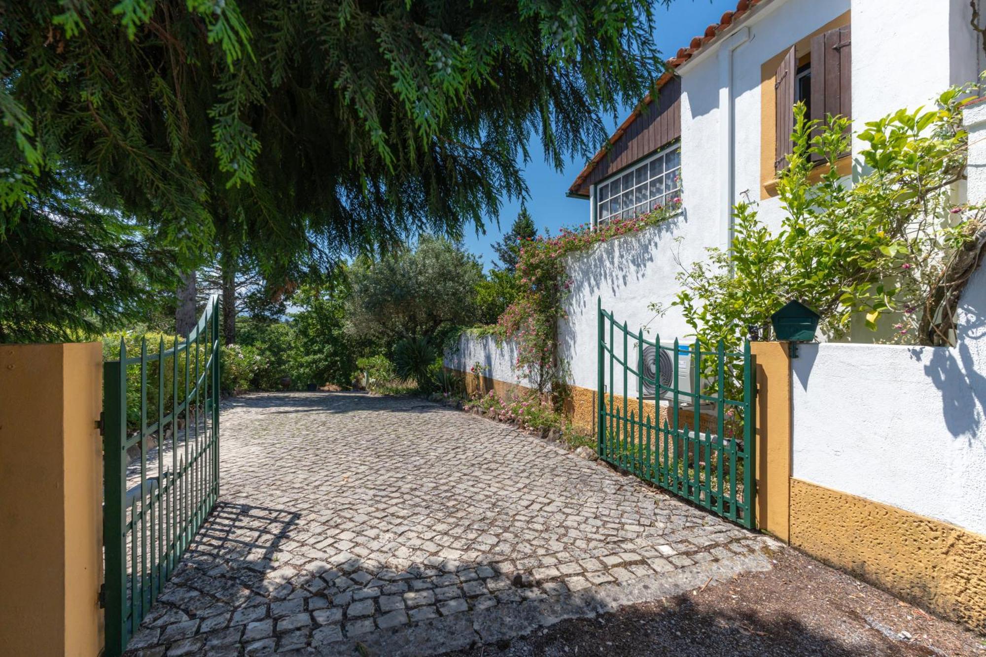 Atlantic Nest Poiares Villa Vila Nova de Poiares Luaran gambar